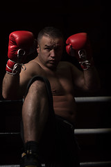 Image showing professional kickboxer in the training ring