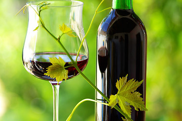 Image showing Glass and bottle of red wine.