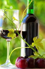 Image showing Glass and bottle of red wine.