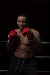 Image showing professional kickboxer in the training ring