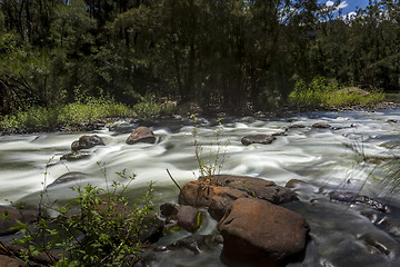 Image showing River rapids in the wilderness