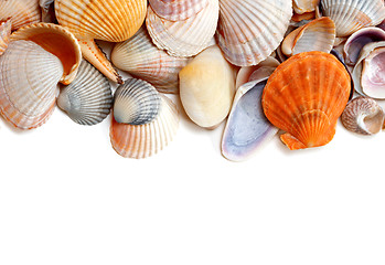 Image showing Natural background of variety seashells