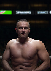 Image showing professional kickboxer in the training ring