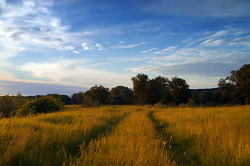 Image showing Road through the meadow at autumn evening