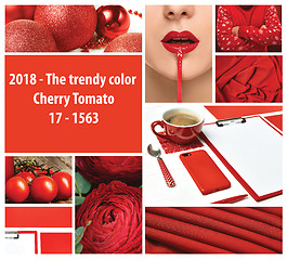 Image showing Trendy color concept. Set with red color