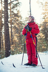 Image showing skiing in the forest