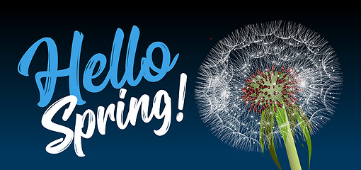 Image showing Text message hello spring, against a background of a spring landscape with a dandelion close-up