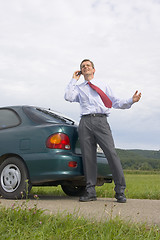 Image showing Businessman talking on cell phone beside his car