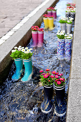 Image showing Rubber boots in the water with flowers in the city of Freiburg. Tourist attraction.