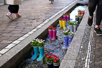 Image showing Rubber boots in the water with flowers in the city of Freiburg. Tourist attraction.