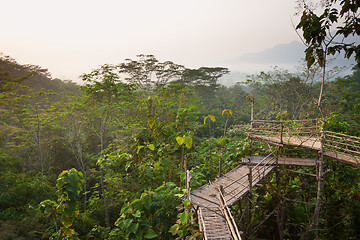 Image showing Bamboo walkway in the jungle