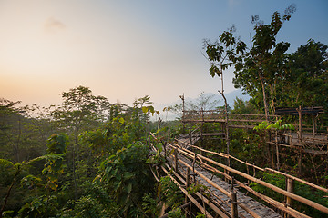 Image showing Bamboo walkway in the jungle