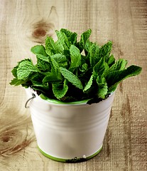 Image showing Fresh Mint Leafs