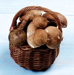 Image showing Fresh Boletus Mushrooms