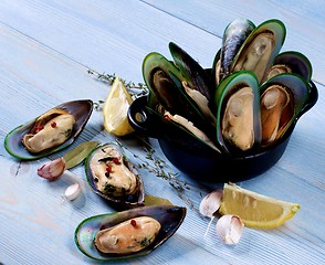 Image showing Boiled Green Mussels