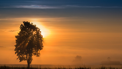 Image showing Panoramic morning scenery of sunrise over foggy meadow