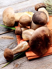 Image showing Raw Boletus Mushrooms