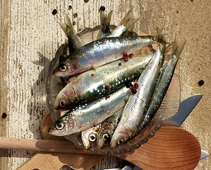 Image showing Raw Fresh Sardines