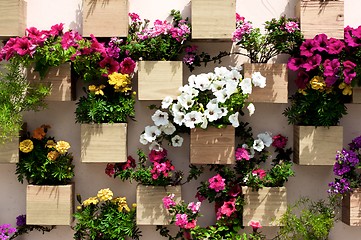 Image showing Wall with Flower Decoration