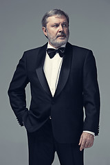 Image showing Middle aged male adult wearing a suit isolated on gray