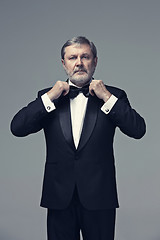 Image showing Middle aged male adult wearing a suit isolated on gray