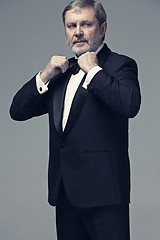 Image showing Middle aged male adult wearing a suit isolated on gray