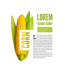 Image showing Corn ear isolated on white with text block