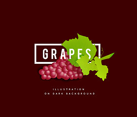 Image showing Grape branch with red grapes. Realistic vector illustartion
