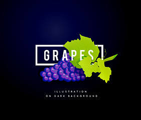 Image showing Grape branch with blue grapes. Realistic vector illustartion