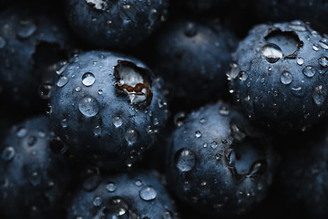 Image showing Fresh blueberry with water drops