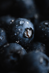 Image showing Fresh blueberry with water drops