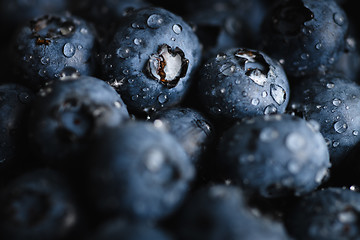 Image showing Fresh blueberry with water drops