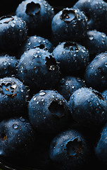 Image showing Fresh blueberry with water drops