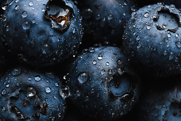 Image showing Fresh blueberry with water drops