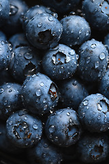 Image showing Fresh blueberry with water drops