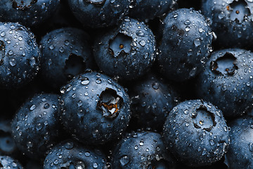 Image showing Fresh blueberry with water drops