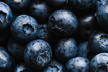 Image showing Fresh blueberry with water drops