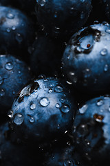 Image showing Fresh blueberry with water drops