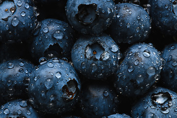 Image showing Fresh blueberry with water drops