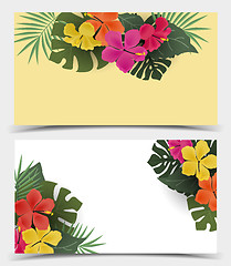 Image showing Background with tropical flowers