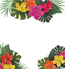 Image showing Background with tropical flowers