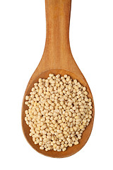 Image showing White urad in a spoon