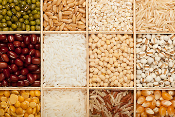 Image showing Different types of grains and beans