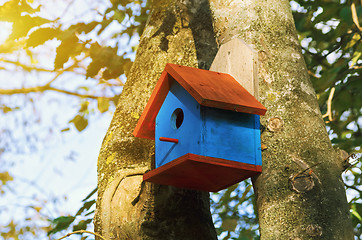 Image showing bird house