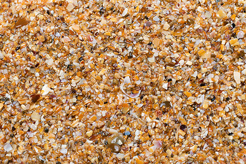 Image showing Wet multicolor sand on beach in sun summer day