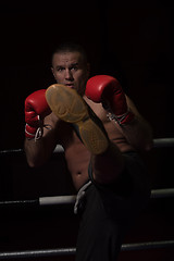 Image showing professional kickboxer in the training ring