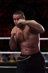 Image showing professional kickboxer in the training ring