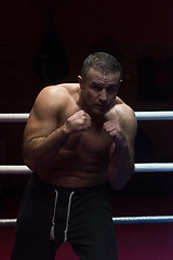 Image showing professional kickboxer in the training ring