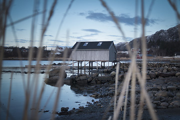 Image showing Norwegian Winter