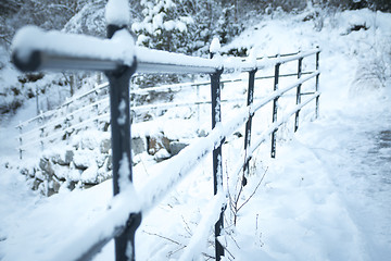 Image showing Norwegian Winter